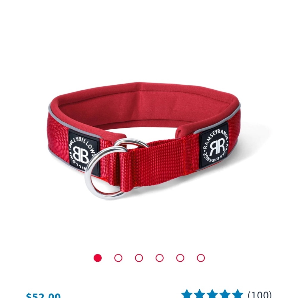 Dog Slip Collar